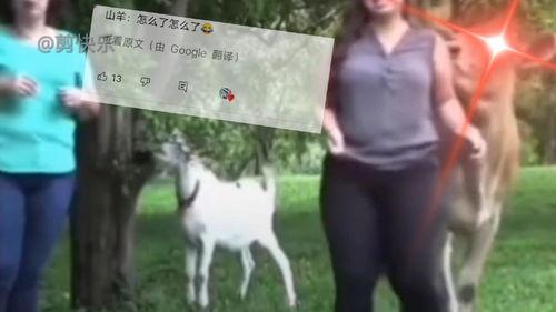 搞笑爆料网友视频大全,笑料百出!网友搞笑爆料视频大盘点 第3张 搞笑爆料网友视频大全,笑料百出!网友搞笑爆料视频大盘点 第3张