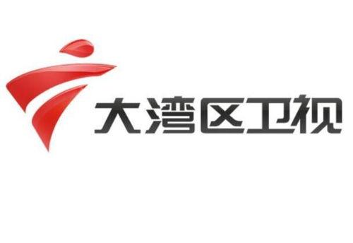 大湾区卫视爆料新闻,重大新闻事件深度解析