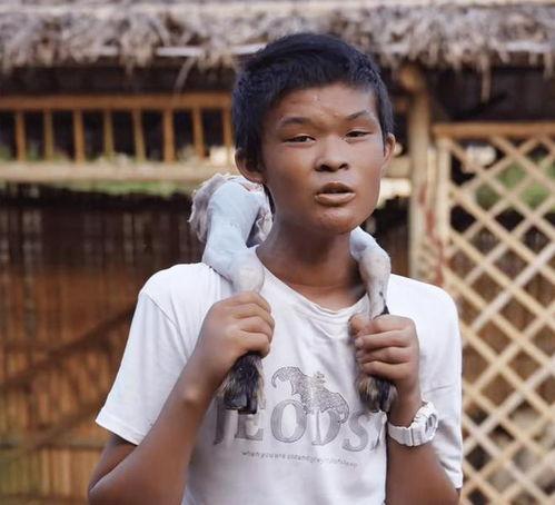 小马云直播爆料最新消息,最新动态及幕后故事大曝光！”