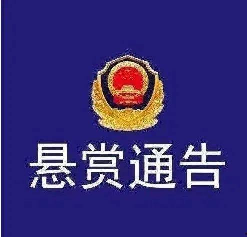 广东梅州爆料案件最新,案情曲折，真相渐明