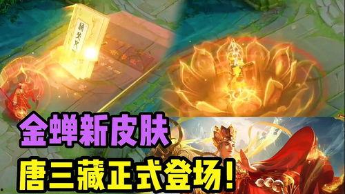 金蝉皮肤爆料最新